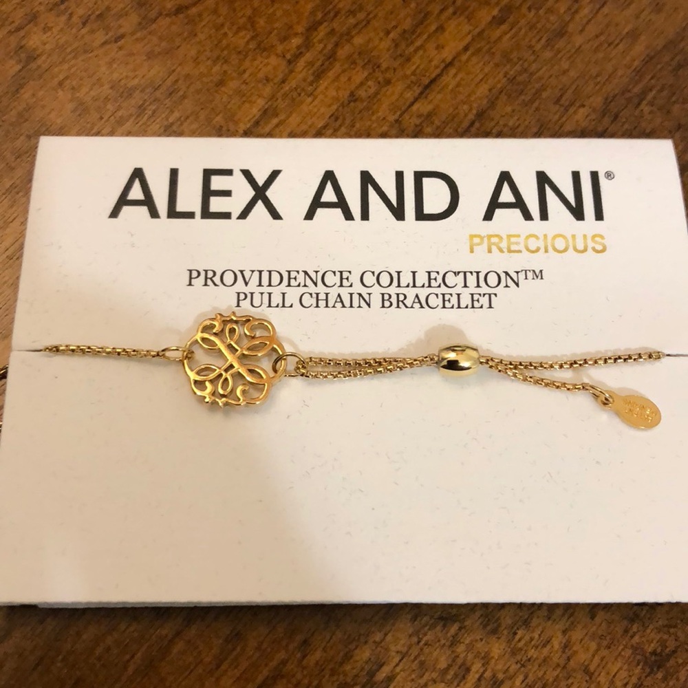 Alex and Ani Path of Life pullchain gold bracelet